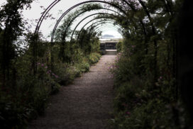 Gångtunnel gjord av växter vid Tjölöholms slott.