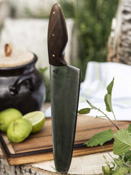 Kitchen knife in nature.