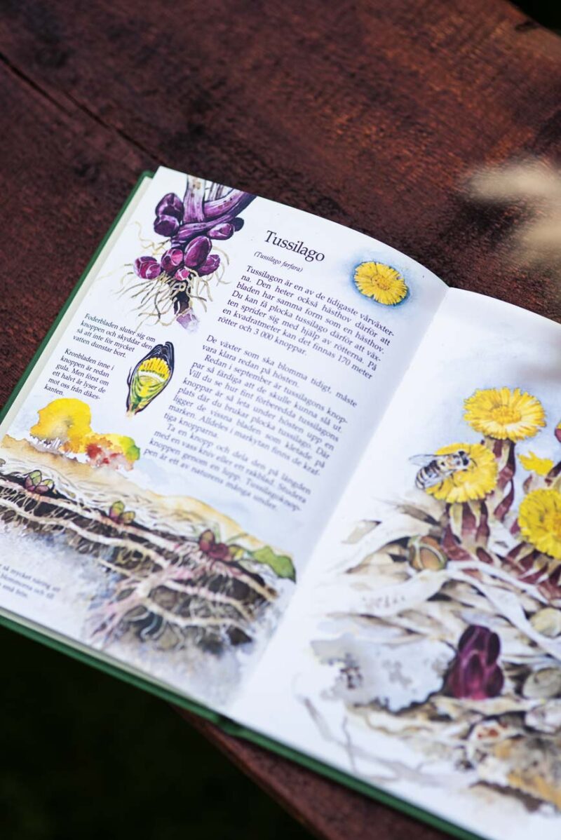 Book about spring Flowers.