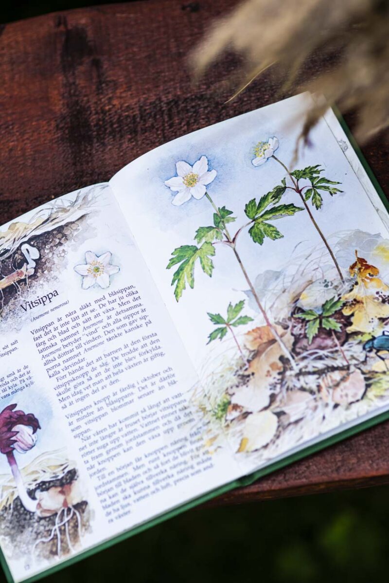 Book about spring Flowers.