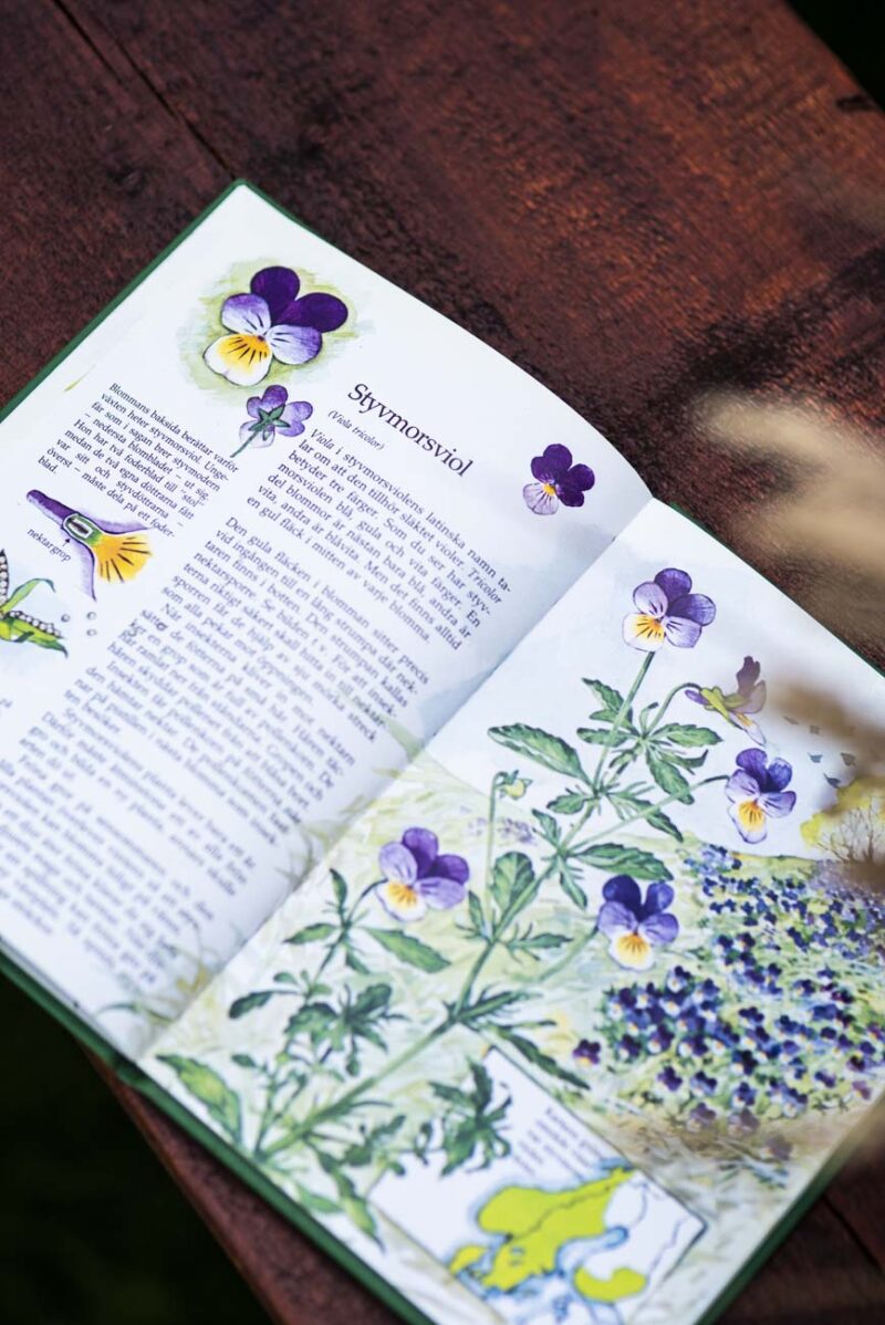 Book about spring Flowers.