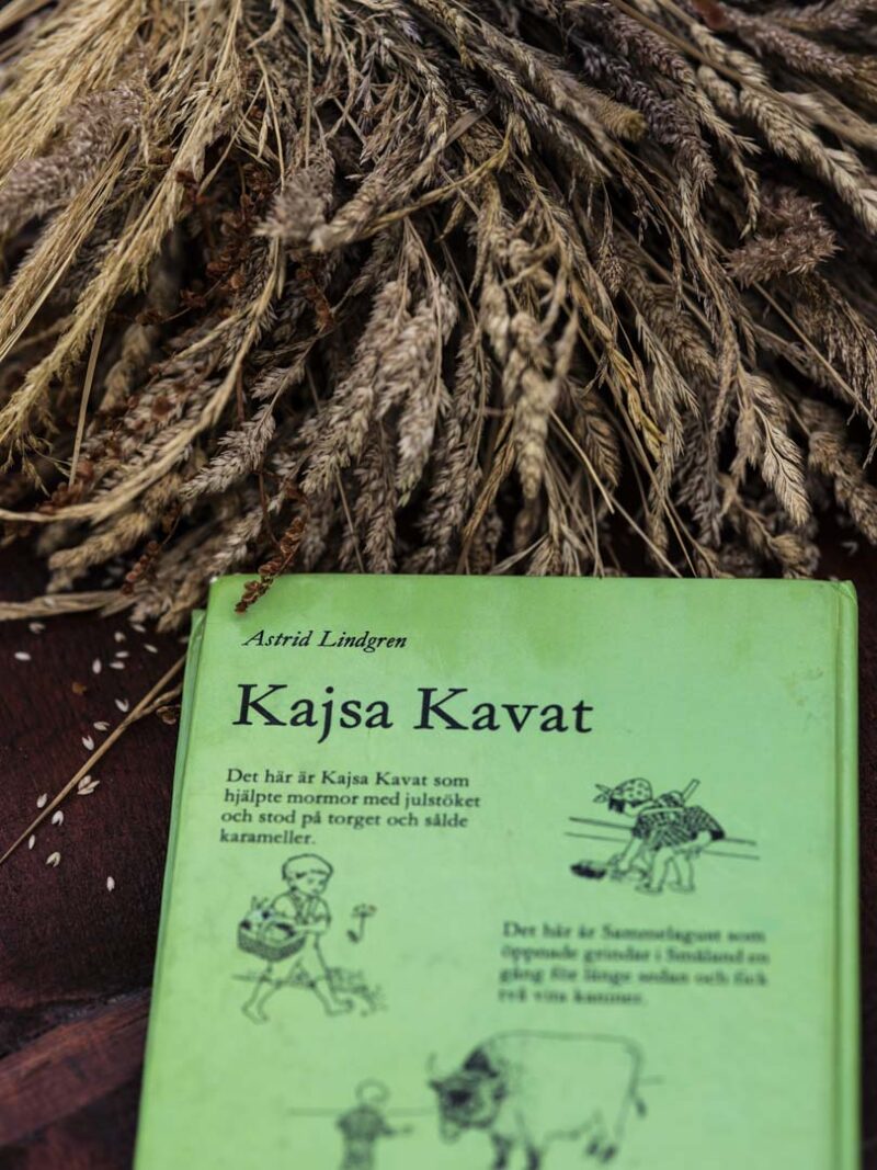 Kajsa Kavat – Book