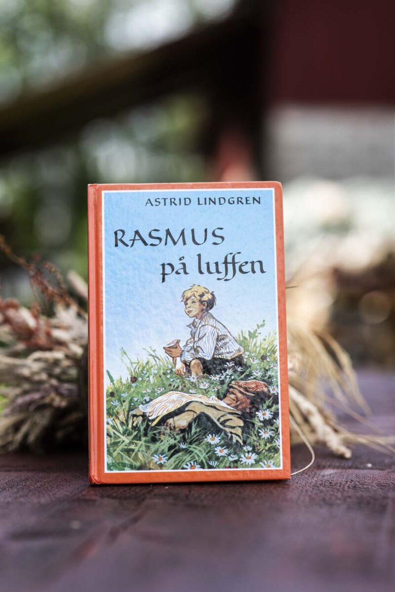 Rasmus på luffen