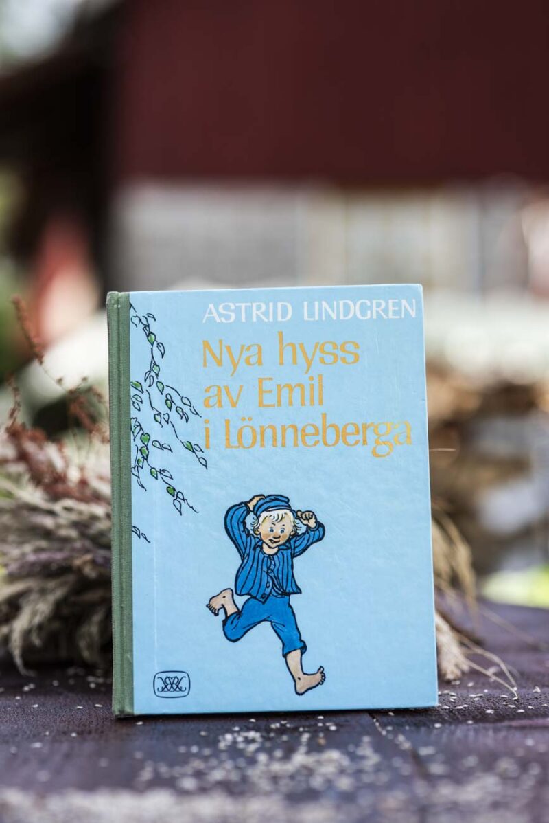 Nya hyss av Emil i Lönneberga – Book