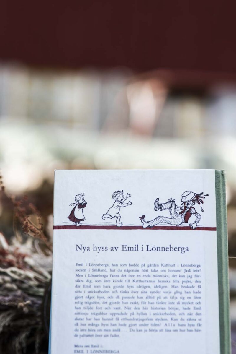 Nya hyss av Emil i Lönneberga – Book