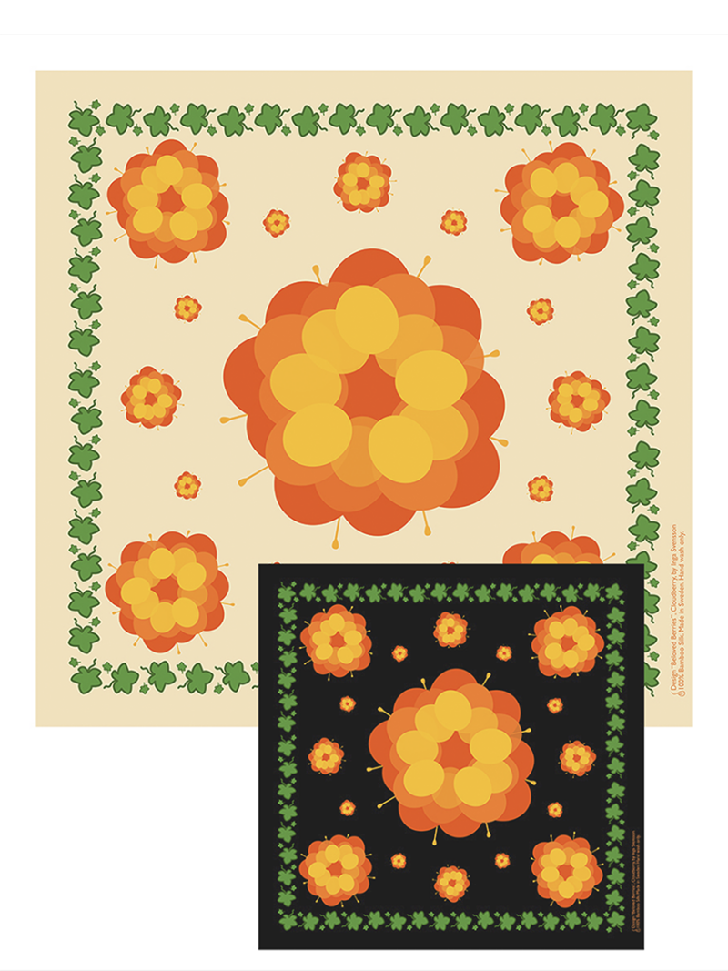 cloudberry design