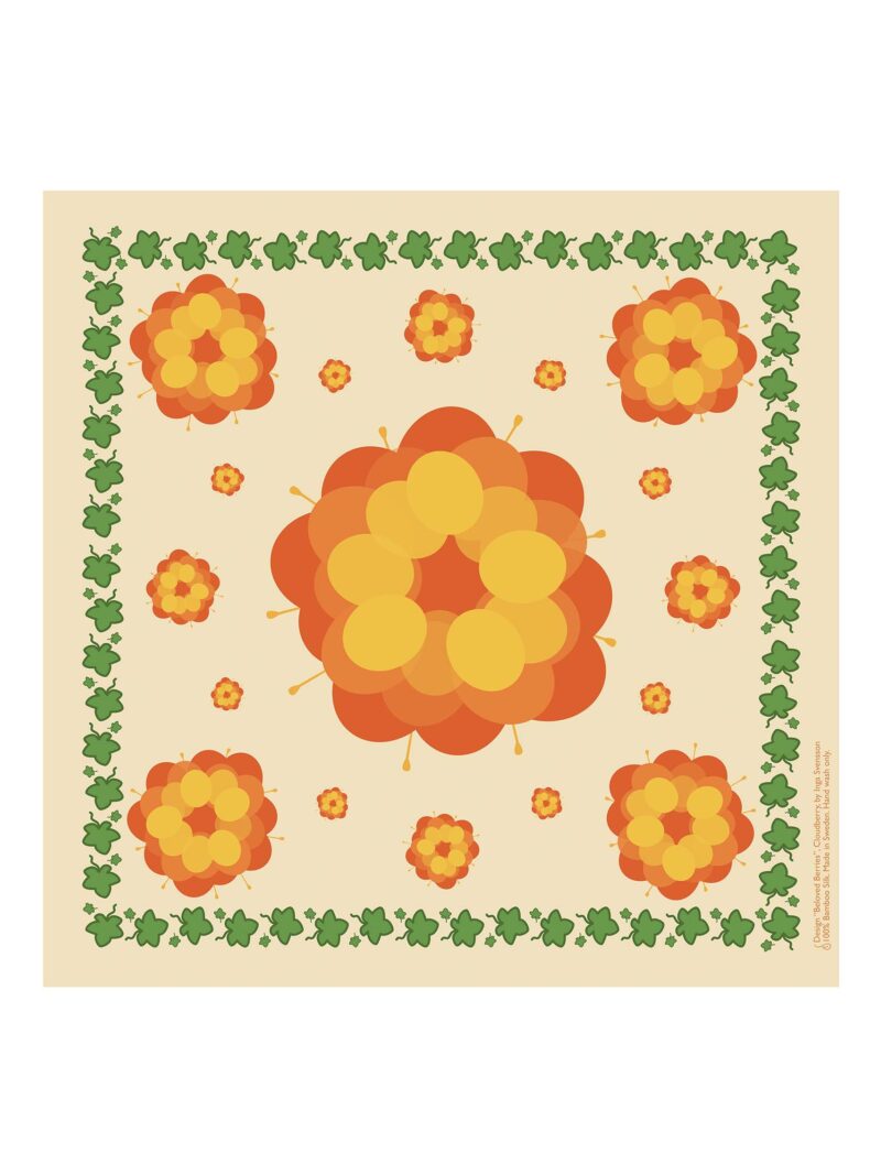 cloudberry design