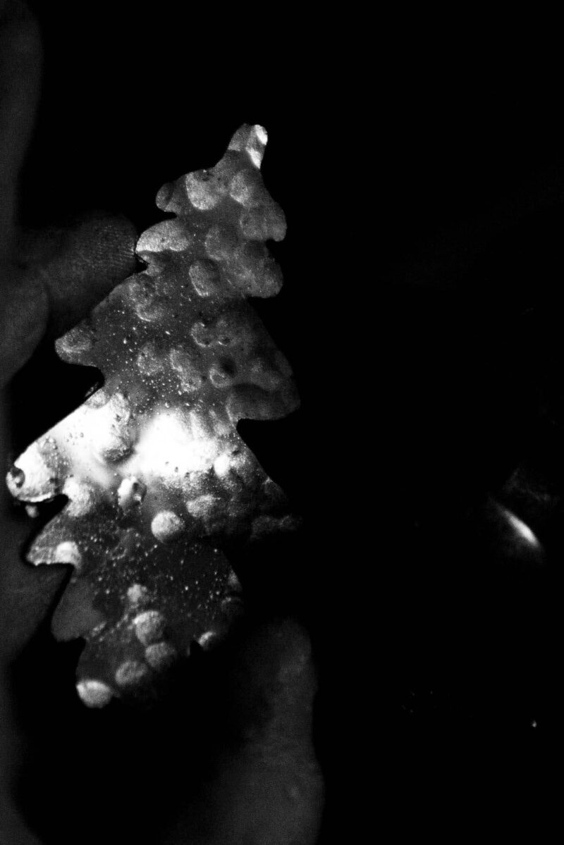 Oak Leaf Earrings "Skogsek" – 925 Silver - Image 7