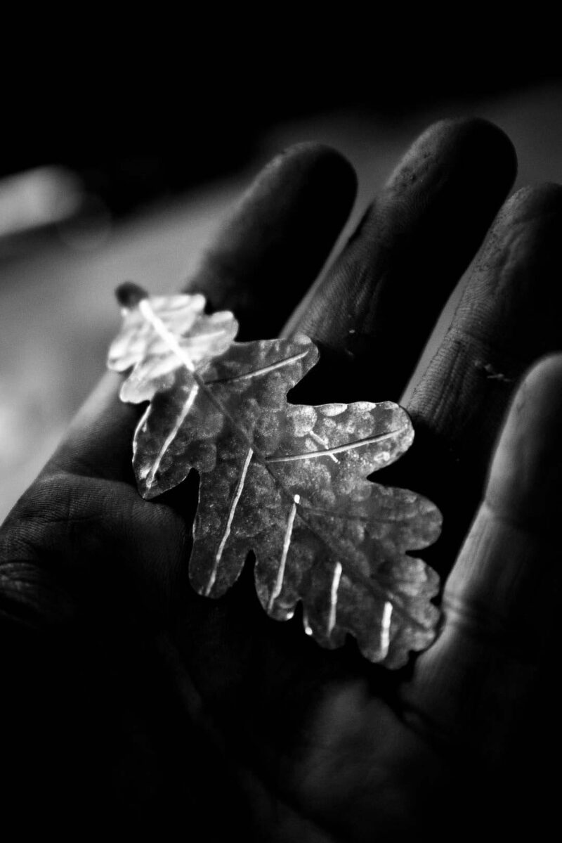 Oak Leaf Earrings "Skogsek" – 925 Silver - Image 8