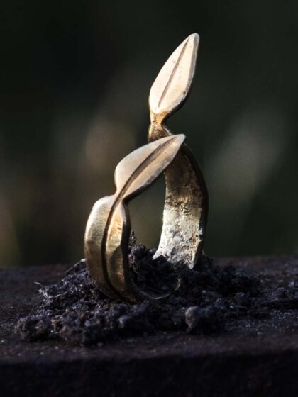 Produktbild. Brassring.