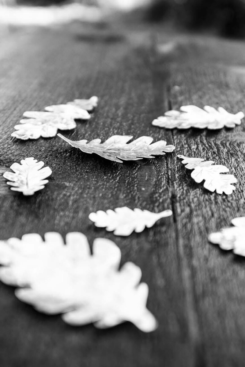 Oak Leaf Earrings "Skogsek" – 925 Silver - Image 12